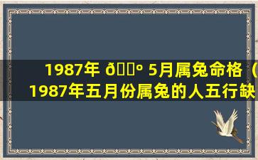1987年 🐺 5月属兔命格（1987年五月份属兔的人五行缺什么）